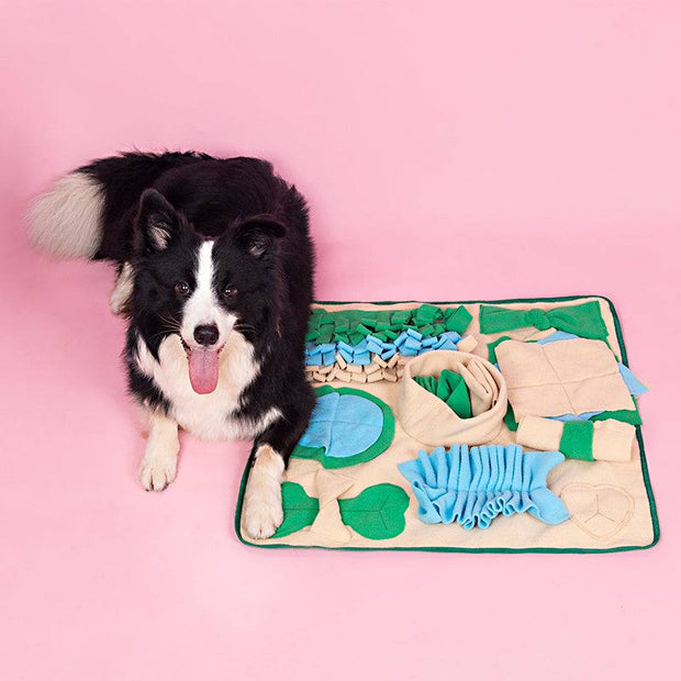 Interactive dog snuffle mat, a slow feeder for mental stimulation.
