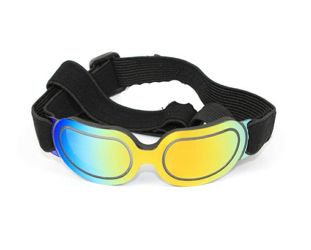 Colorful Pet Sunglasses – Fun and Stylish Glasses for Dogs & Cats