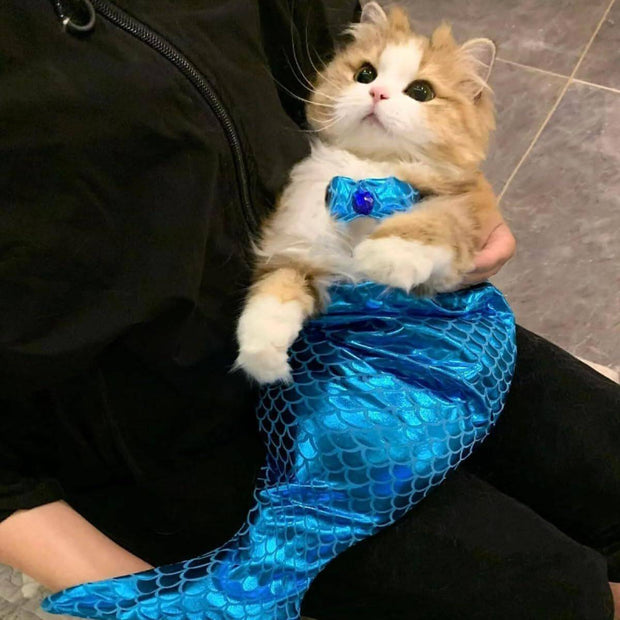 Cat Mermaid Costume Creative Fishtail Dress  Cats & Dogs Funny outfit