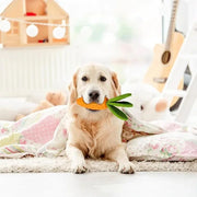 Carrot Dog Chew Toy – Durable Rubber Squeaky Toy for Boredom and Dental Care