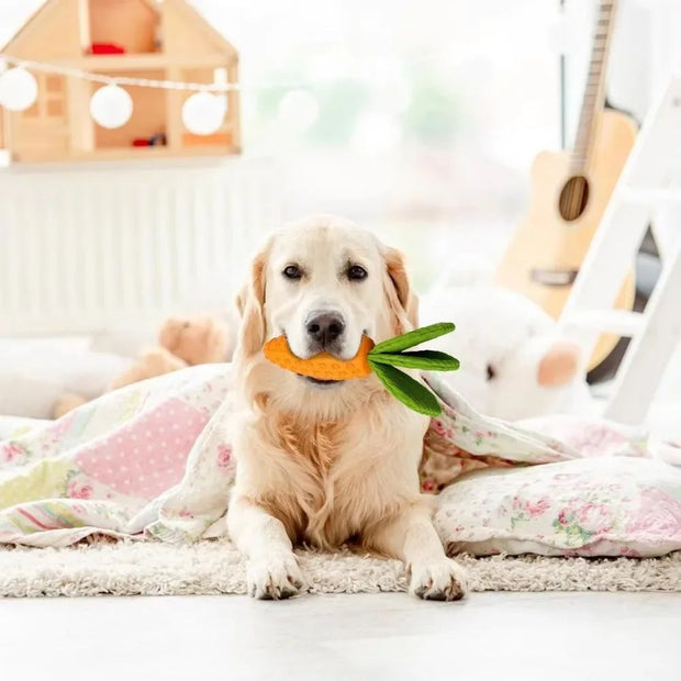 Carrot Dog Chew Toy – Durable Rubber Squeaky Toy for Boredom and Dental Care
