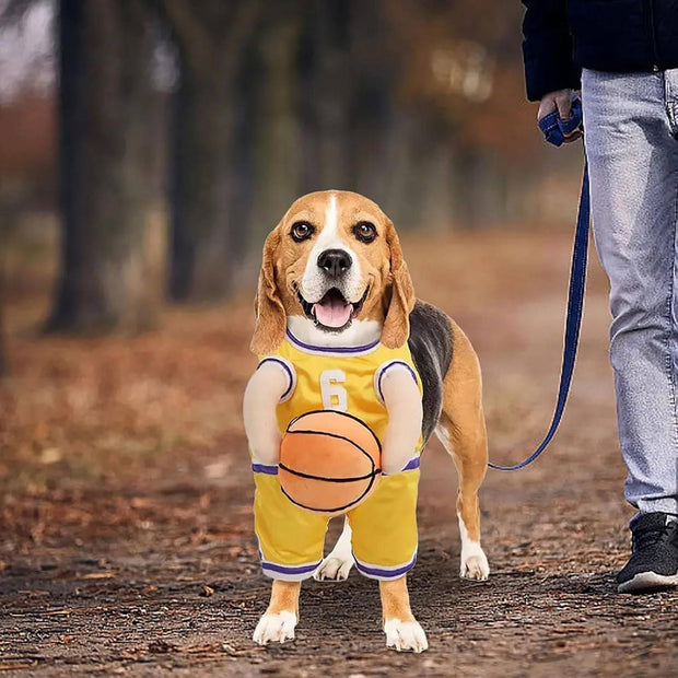 Dog Basketball Costume – Funny Halloween Sports Outfit for Small Dogs