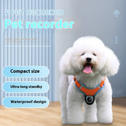 Pet Tracker Camera Collar – Motion Recording & Video Action Camera for Dogs & Cats