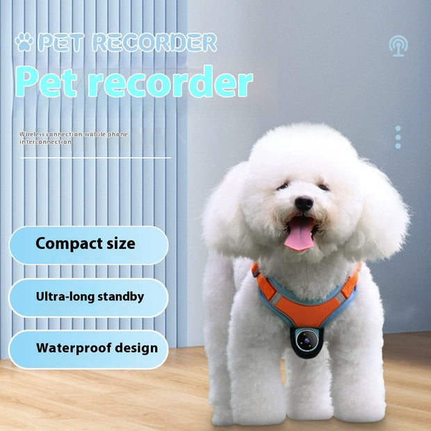 Pet Tracker Camera Collar – Motion Recording & Video Action Camera for Dogs & Cats