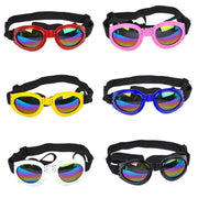 Pet Sunglasses – Stylish Glasses & Sun Visor for Dogs and Cats