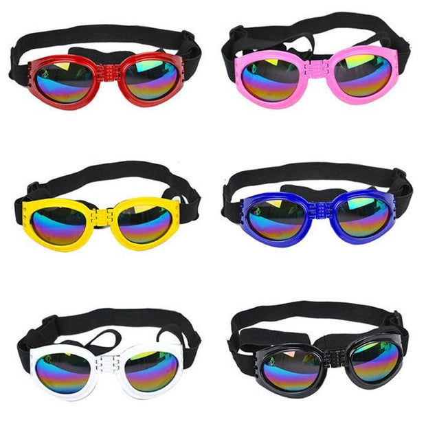Pet Sunglasses – Stylish Glasses & Sun Visor for Dogs and Cats