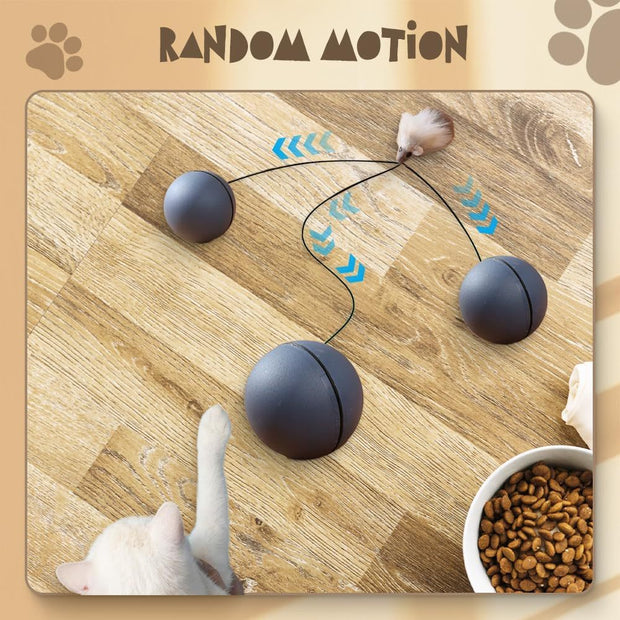Interactive Cat Ball Toy – Motion-Activated Smart Rolling Ball for Cats & Dogs