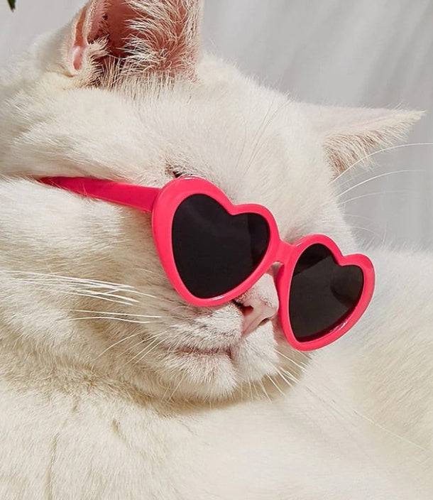 Doll Sunglasses Pet Toy Accessories – Fun and Stylish for Pets