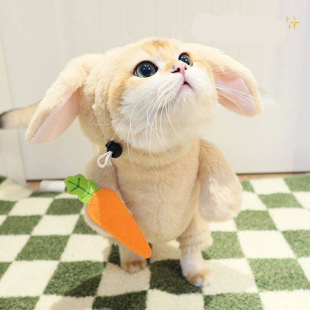 Adorable cat in bunny outfit with carrot accessory and harness

