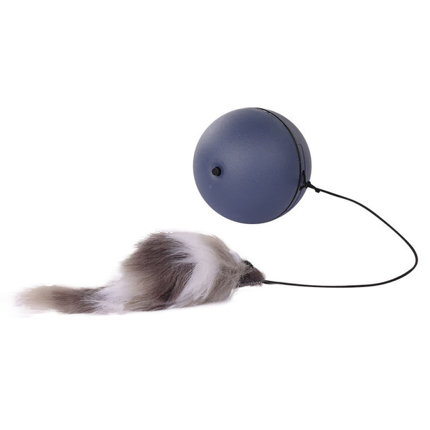 Interactive Cat Ball Toy – Motion-Activated Smart Rolling Ball for Cats & Dogs