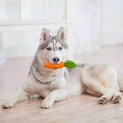 Carrot Dog Chew Toy – Durable Rubber Squeaky Toy for Boredom and Dental Care