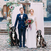 Dog Tuxedo Suit – Adjustable Formal Outfit with Bow Tie & Bandana for Wedding and ceremonies