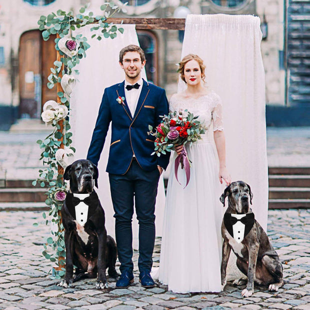 Dog Tuxedo Suit – Adjustable Formal Outfit with Bow Tie & Bandana for Wedding and ceremonies