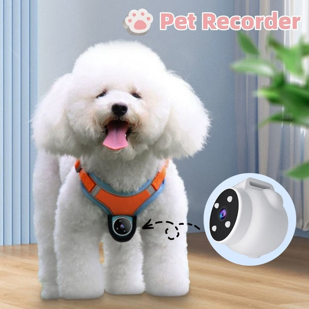 Pet Tracker Camera Collar on dog with orange harness, showcasing motion recording feature.