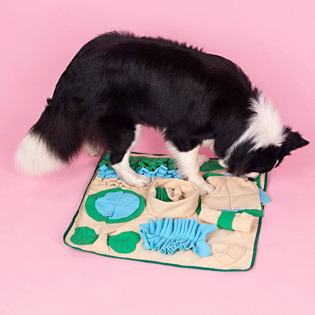 Educational pet snuffle mat, ideal for puppies.

