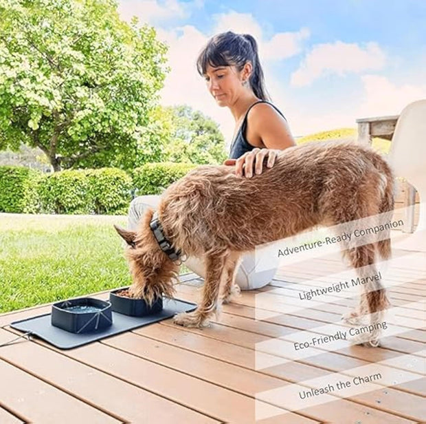 Portable Pet Feeder – Collapsible Silicone Bowls for Dogs and Cats, Travel Dish for Food & Water