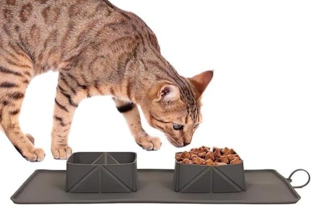 Portable Pet Feeder – Collapsible Silicone Bowls for Dogs and Cats, Travel Dish for Food & Water