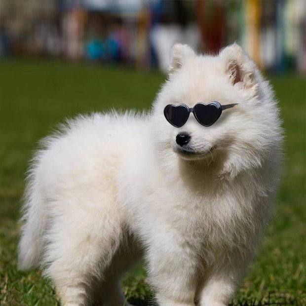 Doll Sunglasses Pet Toy Accessories – Fun and Stylish for Pets