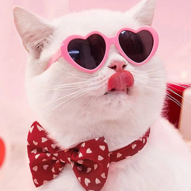 Doll Sunglasses Pet Toy Accessories – Fun and Stylish for Pets