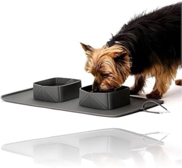 Portable Pet Feeder – Collapsible Silicone Bowls for Dogs and Cats, Travel Dish for Food & Water