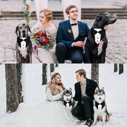 Dog Tuxedo Suit – Adjustable Formal Outfit with Bow Tie & Bandana for Wedding and ceremonies
