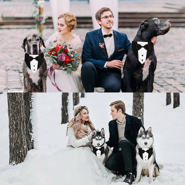 Dog Tuxedo Suit – Adjustable Formal Outfit with Bow Tie & Bandana for Wedding and ceremonies
