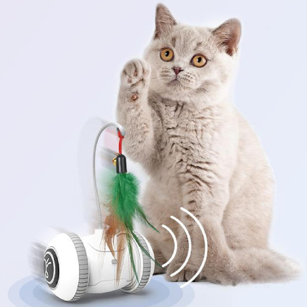 Interactive Cat Toy with Interchangeable Heads – Fun Feather Pet Toy